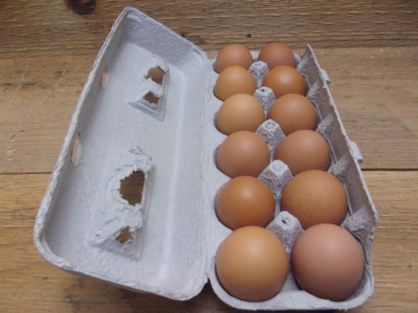 Pastured Eggs
