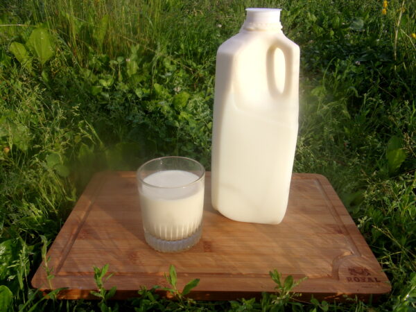 A2A2 Raw Milk - half gallon